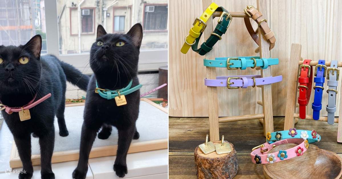 Kittyrama cat collar sales
